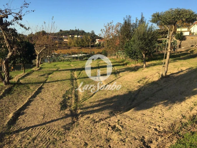 Terreno Misto para Venda em Cristelos, Boim e Ordem Foto 3
