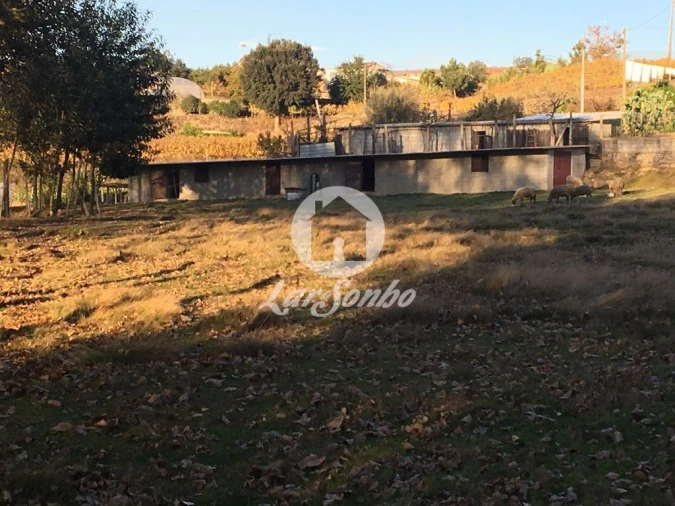Terreno Misto para Venda em Cristelos, Boim e Ordem Foto 9