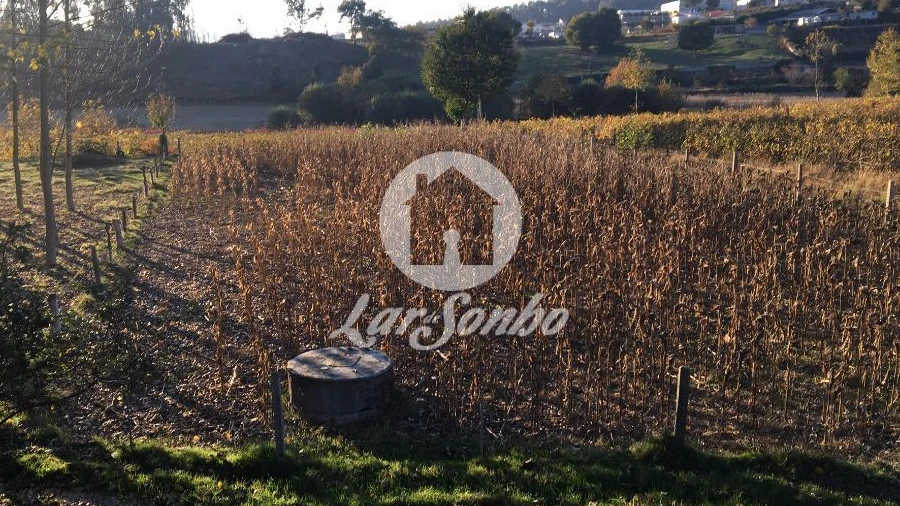 Terreno Misto para Venda em Cristelos, Boim e Ordem