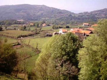 Quinta T0 para Venda em Aboim da Nóbrega e Gondomar