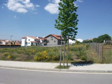 Terreno para Venda em Castelo Branco