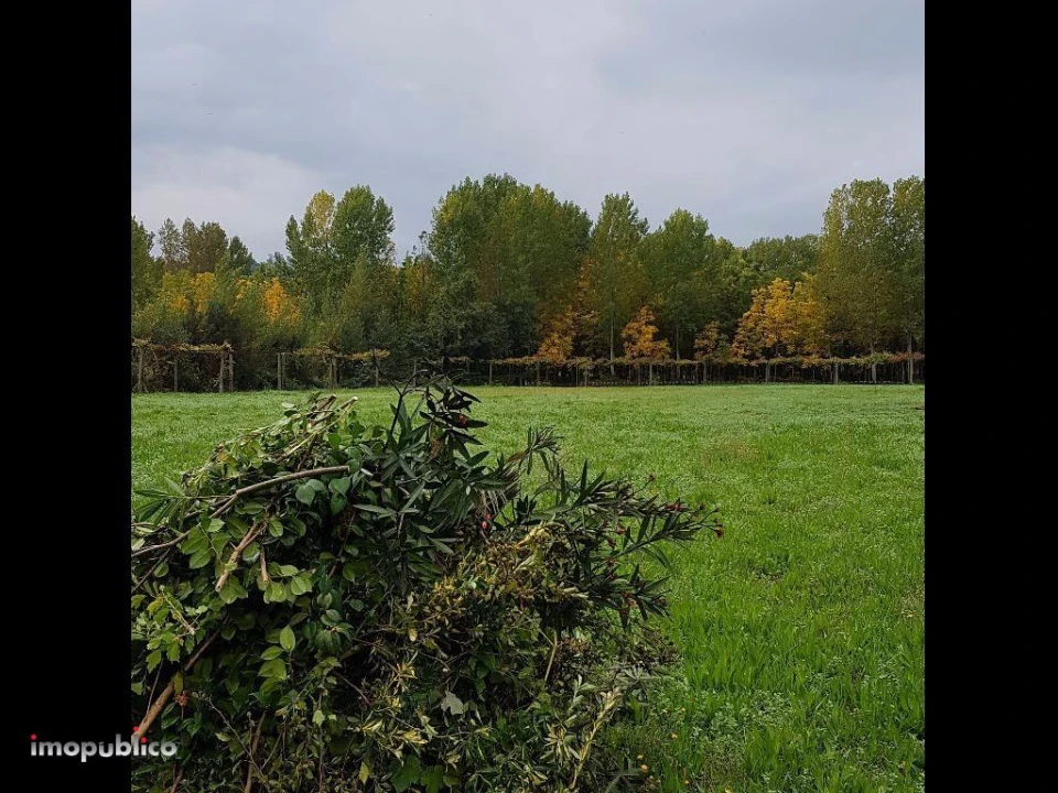 Terreno Agricola ou Rústico para Arrendamento em Ribeira do Neiva Foto 3