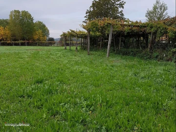 Terreno Agricola ou Rústico para Arrendamento em Ribeira do Neiva