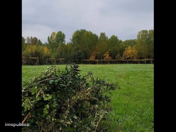 Terreno Agricola ou Rústico para Arrendamento em Ribeira do Neiva