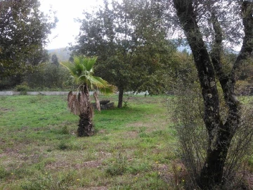 Terreno Agricola ou Rústico para Venda em Taide