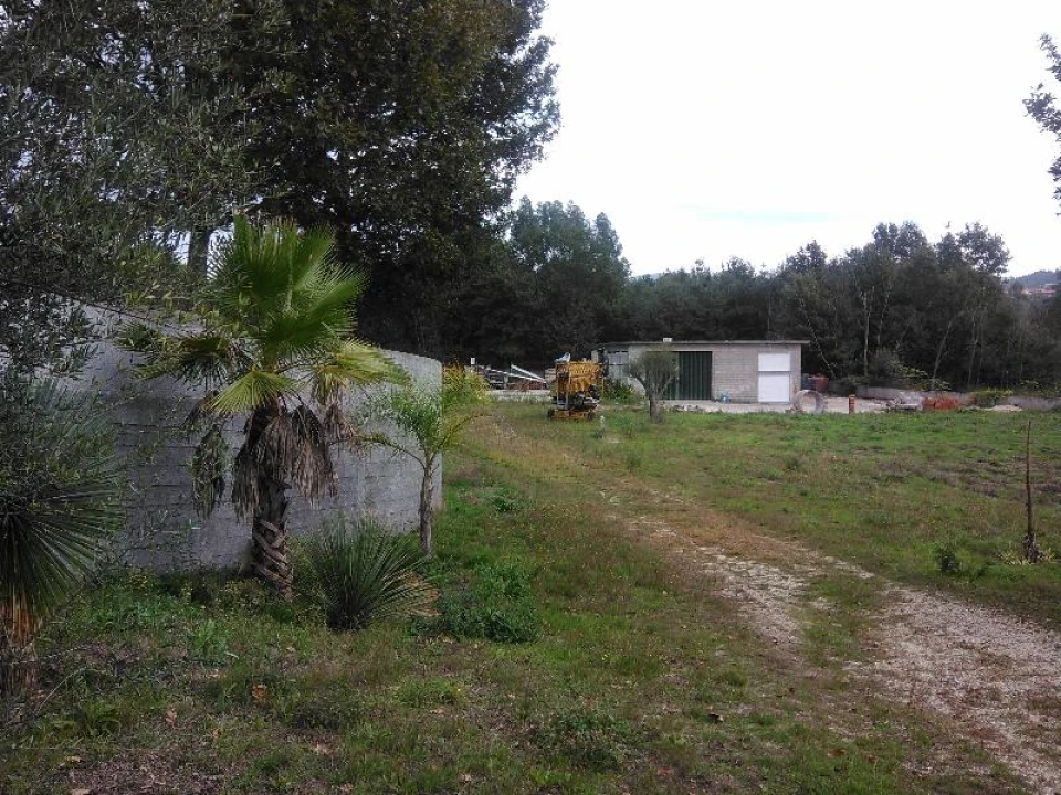 Terreno Agricola ou Rústico para Venda em Taide Foto 5