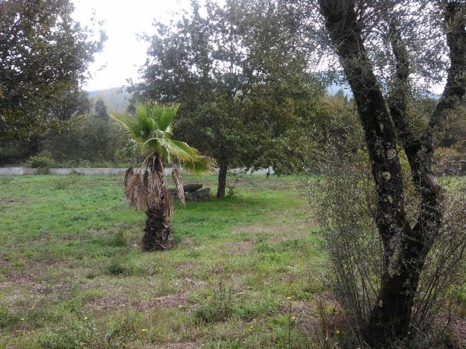 Terreno Agricola ou Rústico para Venda em Taide Foto 6