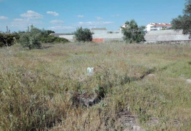 Terreno para Venda em Alcains