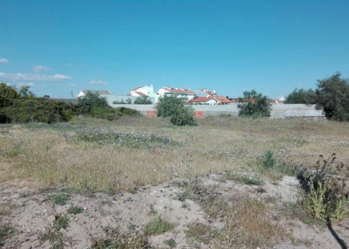 Terreno para Venda em Alcains Foto 5