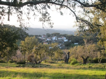 Terreno Agricola ou Rústico para Venda em Santa Maria de Marvão