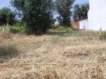 Terreno para Venda em Alcains