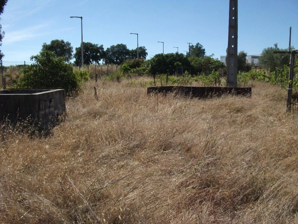 Terreno para Venda em Alcains Foto 12