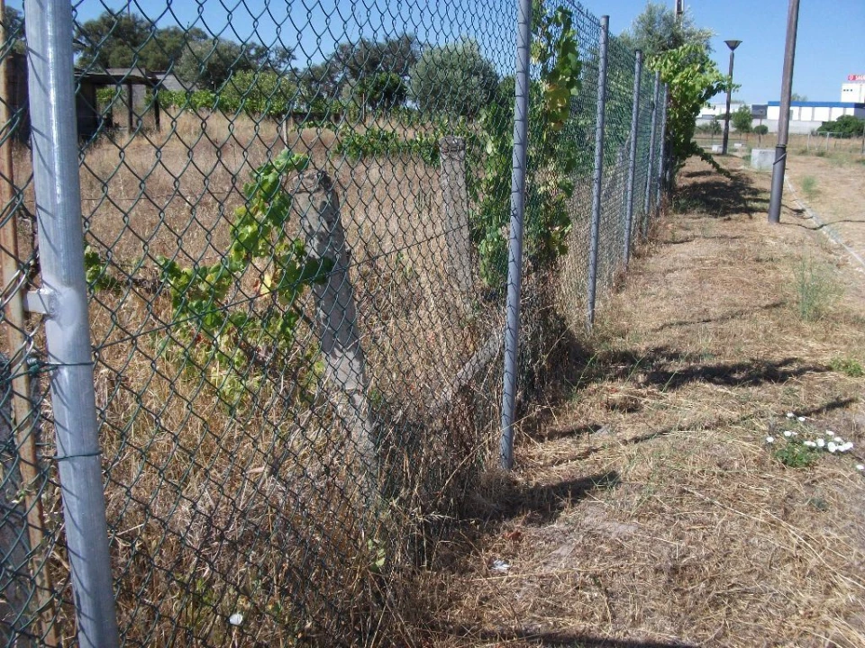 Terreno para Venda em Alcains Foto 15