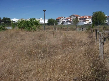 Terreno para Venda em Alcains