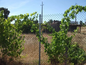 Terreno para Venda em Alcains