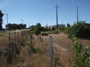 Terreno para Venda em Alcains