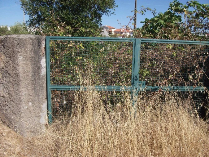 Terreno para Venda em Alcains Foto 2