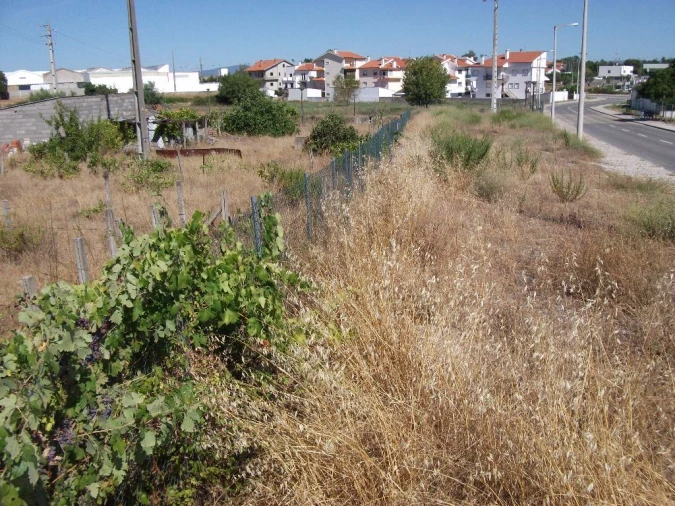 Terreno para Venda em Alcains Foto 8