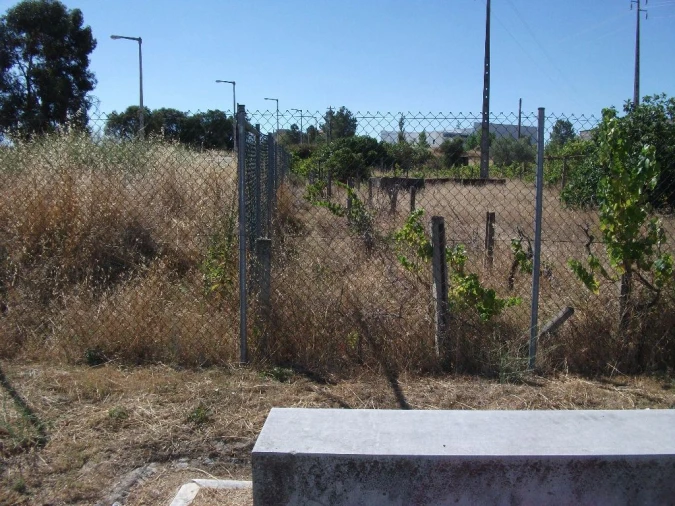 Terreno para Venda em Alcains Foto 14