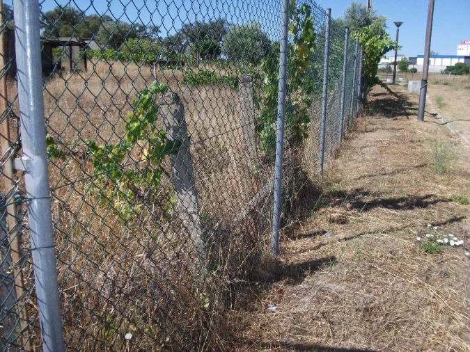 Terreno para Venda em Alcains Foto 15