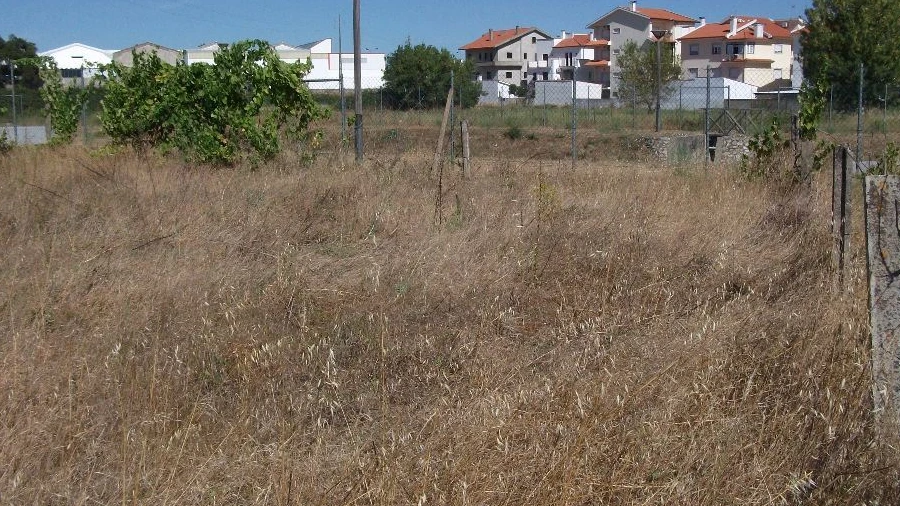 Terreno para Venda em Alcains