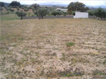 Terreno Agricola ou Rústico para Venda em Castelo Branco