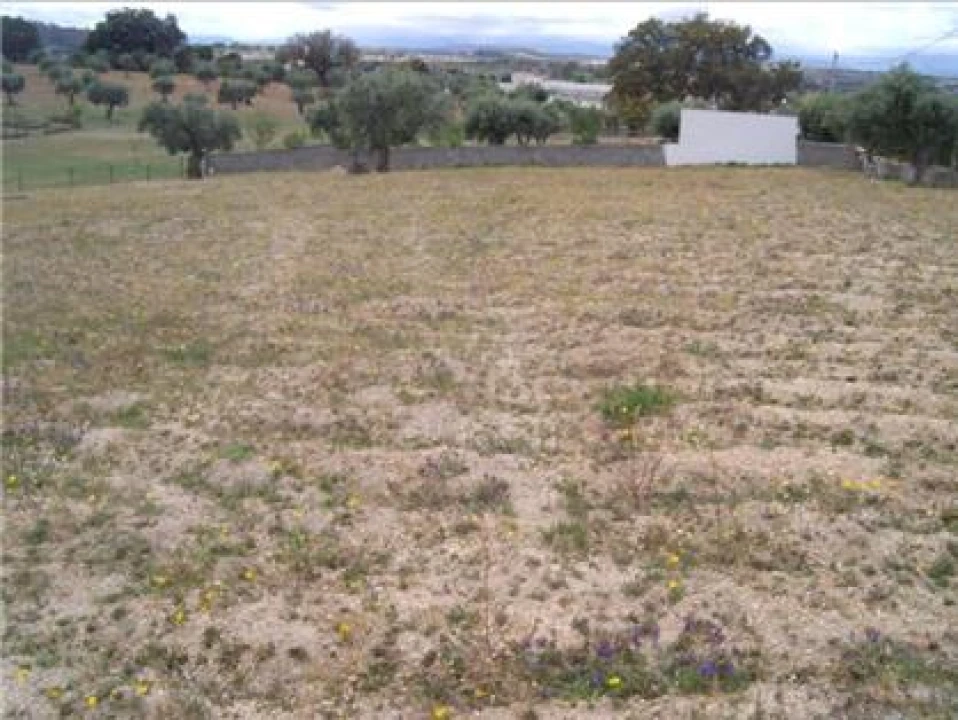 Terreno Agricola ou Rústico para Venda em Castelo Branco Foto 1