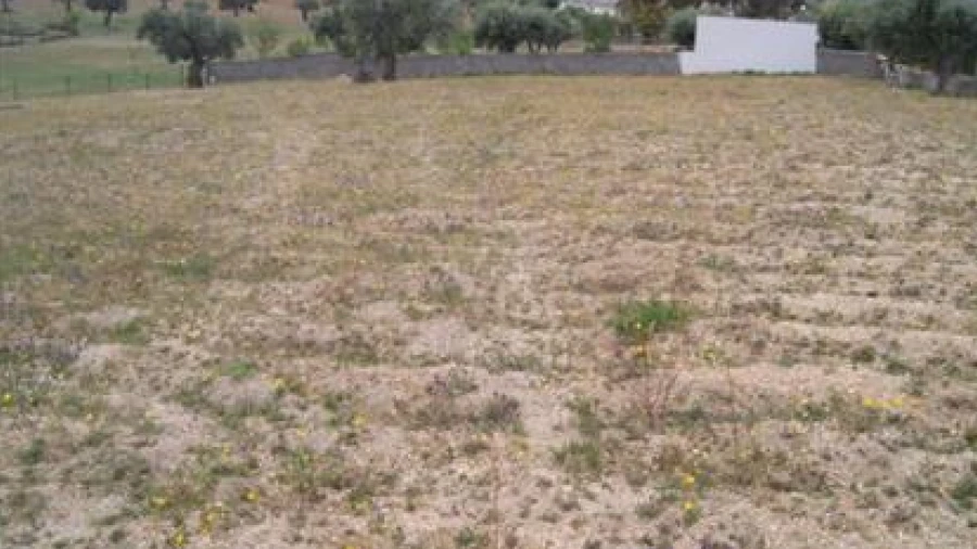 Terreno Agricola ou Rústico para Venda em Castelo Branco