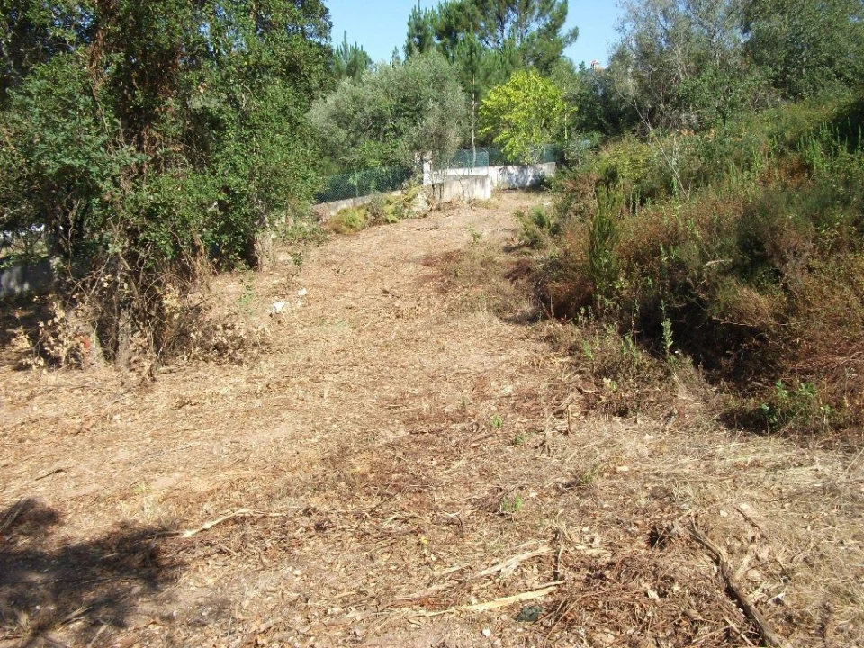 Terreno Agricola ou Rústico para Venda em Eiras e São Paulo de Frades Foto 2