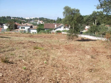 Terreno Agricola ou Rústico para Venda em Eiras e São Paulo de Frades