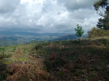 Terreno Agricola ou Rústico para Venda em Anissó e Soutelo