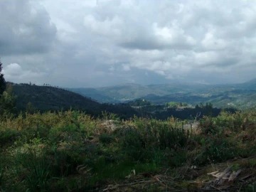 Terreno Agricola ou Rústico para Venda em Anissó e Soutelo