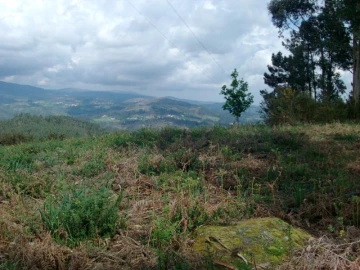 Terreno Agricola ou Rústico para Venda em Anissó e Soutelo