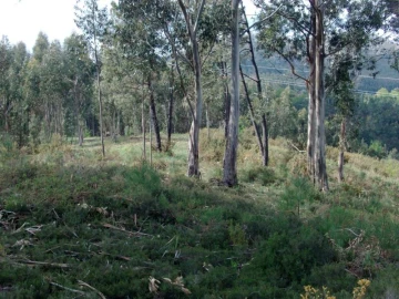 Terreno Agricola ou Rústico para Venda em Anissó e Soutelo
