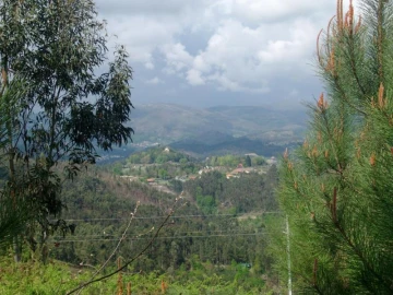 Terreno Agricola ou Rústico para Venda em Anissó e Soutelo