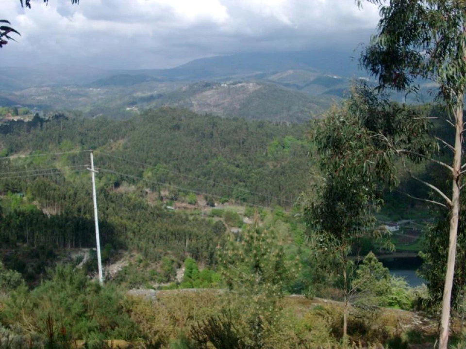 Terreno Agricola ou Rústico para Venda em Anissó e Soutelo Foto 11