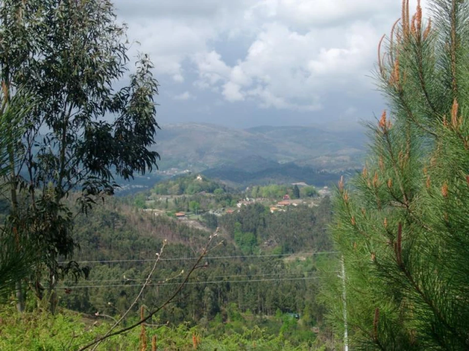 Terreno Agricola ou Rústico para Venda em Anissó e Soutelo Foto 14