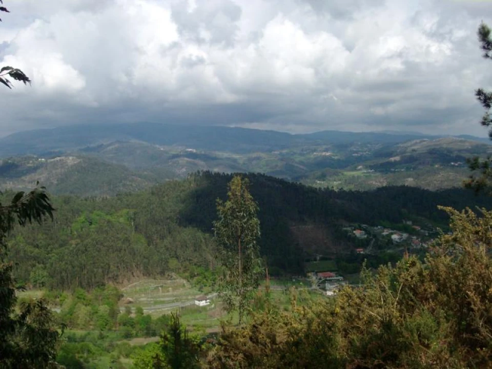 Terreno Agricola ou Rústico para Venda em Anissó e Soutelo Foto 15