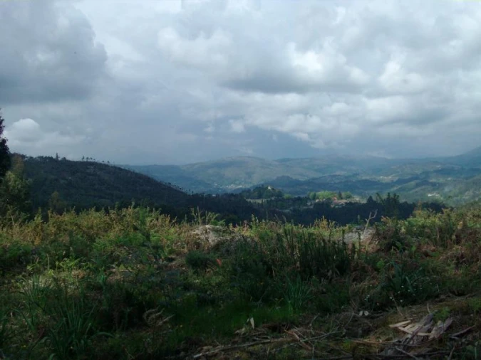 Terreno Agricola ou Rústico para Venda em Anissó e Soutelo Foto 6