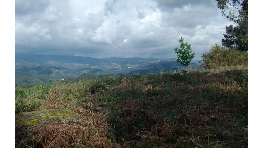 Terreno Agricola ou Rústico para Venda em Anissó e Soutelo