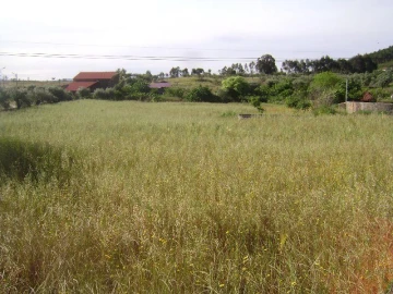 Terreno Misto para Venda em Castelo Branco