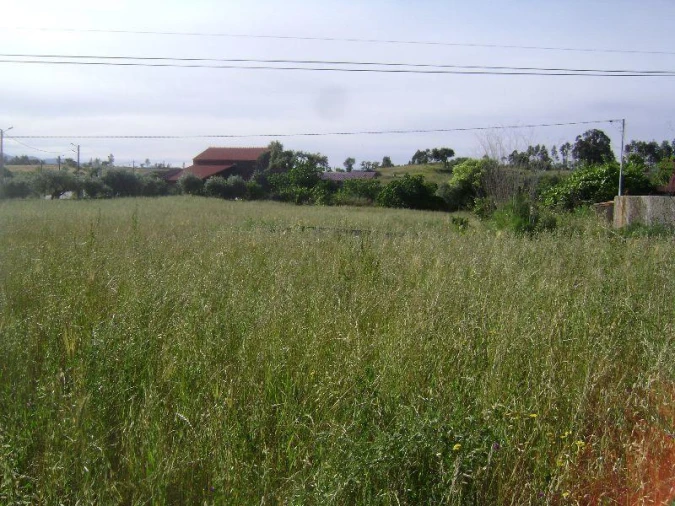 Terreno Misto para Venda em Castelo Branco Foto 8