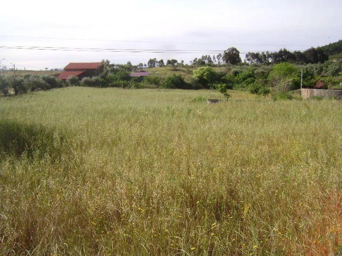 Terreno Misto para Venda em Castelo Branco Foto 3