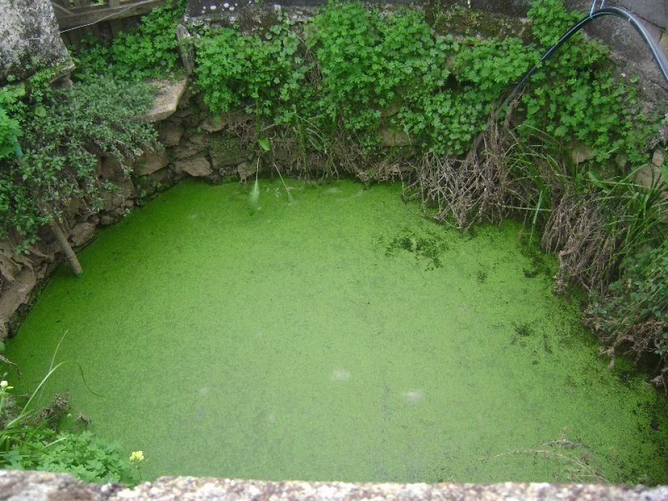 Terreno Agricola ou Rústico para Venda em Salgueiro do Campo Foto 3