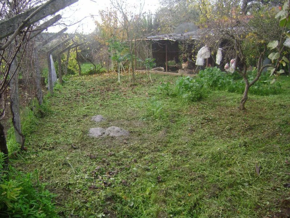 Terreno Agricola ou Rústico para Venda em Salgueiro do Campo Foto 11