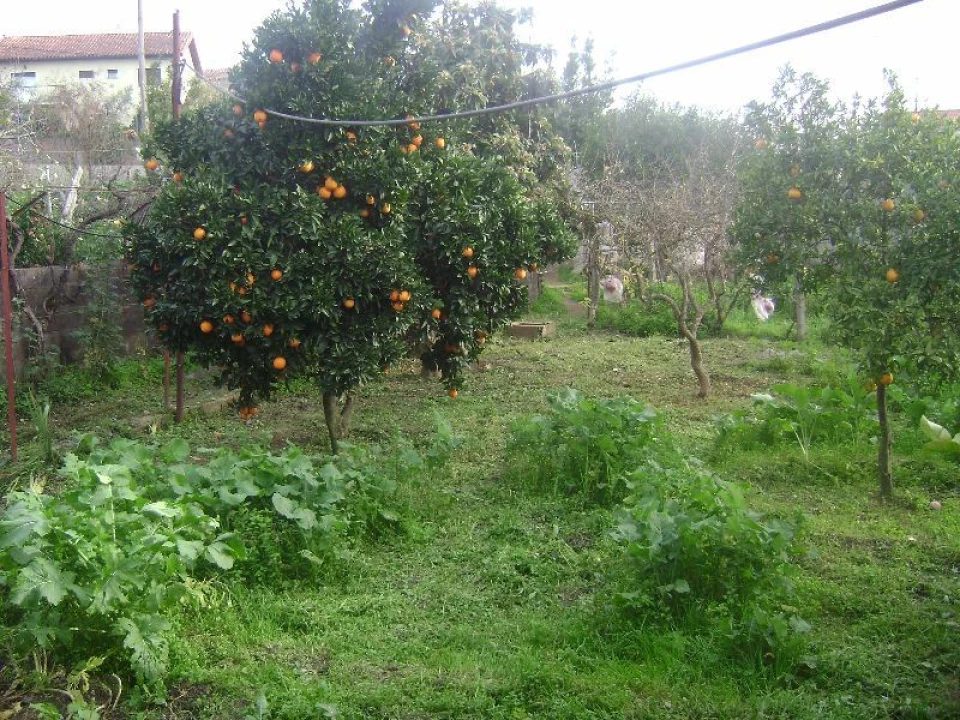 Terreno Agricola ou Rústico para Venda em Salgueiro do Campo Foto 16