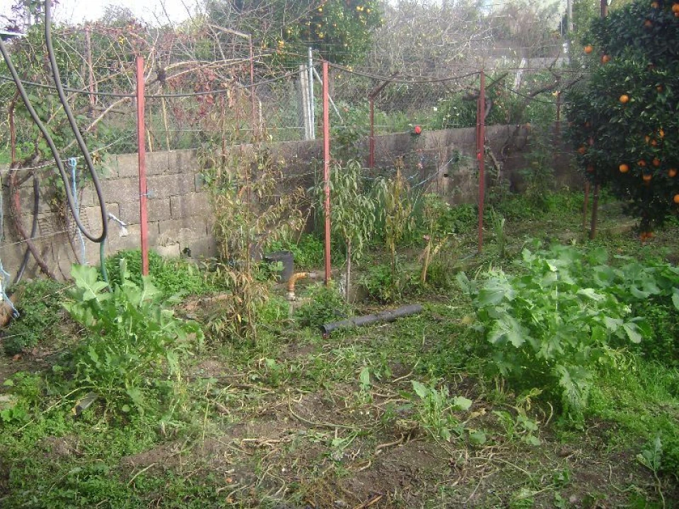 Terreno Agricola ou Rústico para Venda em Salgueiro do Campo Foto 17