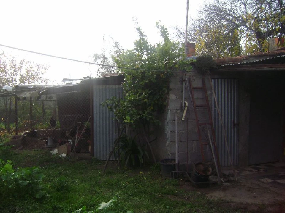 Terreno Agricola ou Rústico para Venda em Salgueiro do Campo Foto 19