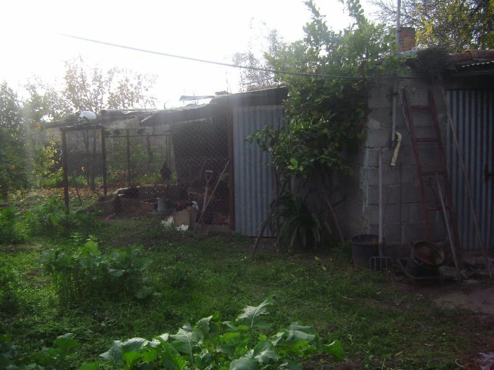 Terreno Agricola ou Rústico para Venda em Salgueiro do Campo Foto 20