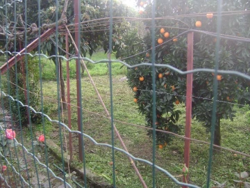 Terreno Agricola ou Rústico para Venda em Salgueiro do Campo